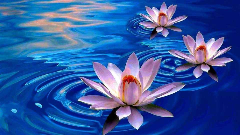 Ý nghĩa tâm linh và văn hóa sâu sắc