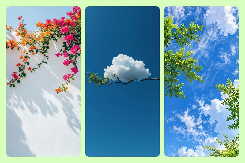 hình nền iPhone 11 Pro Max đẹp ảnh 9