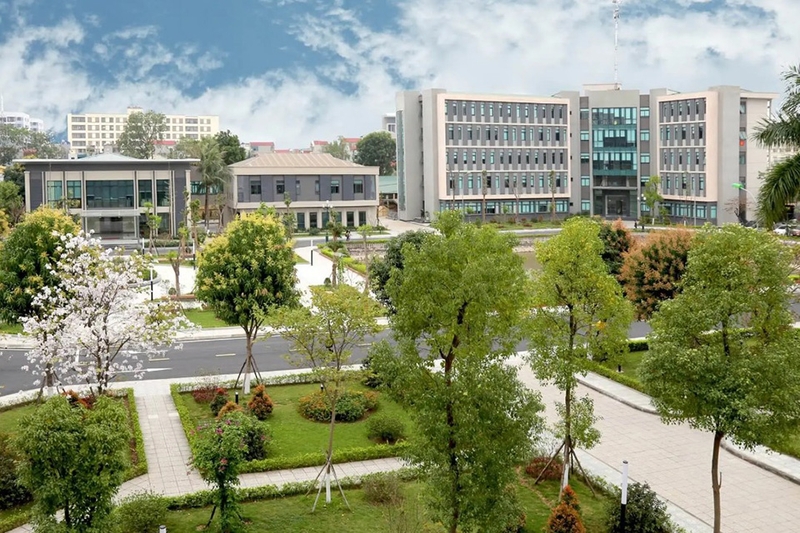 MSA là trường gì 10