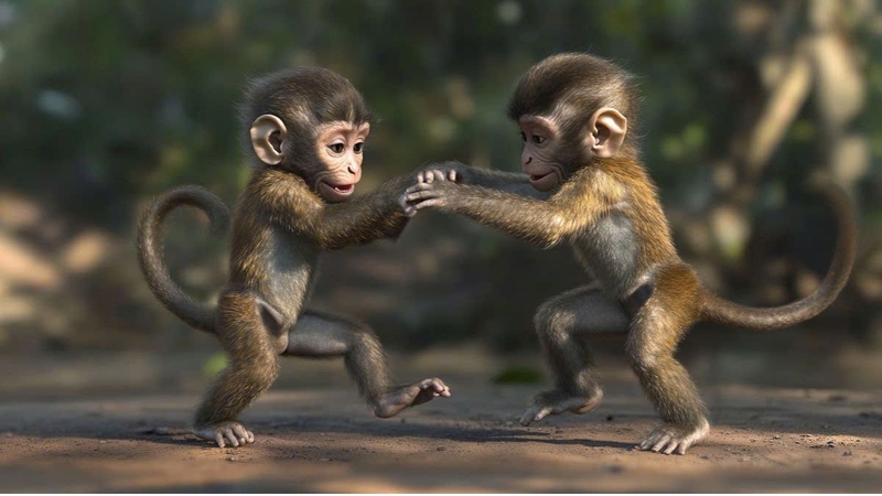 Hình nền khỉ 3D ảnh 45