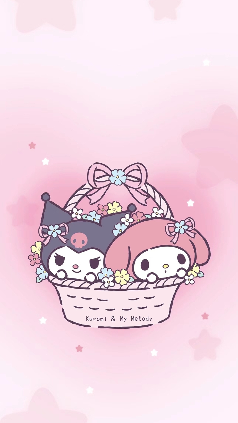 Hình nền kết hợp Kuromi và Melody 2