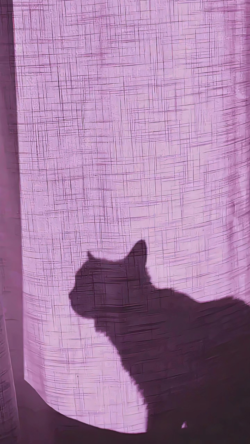 Hình nền màu tím cho điện thoại 9