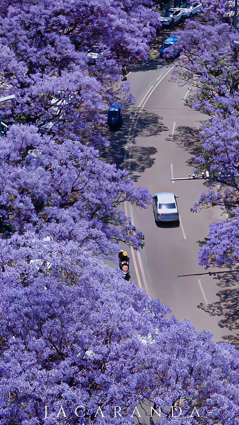 Hình nền màu tím cho điện thoại 7