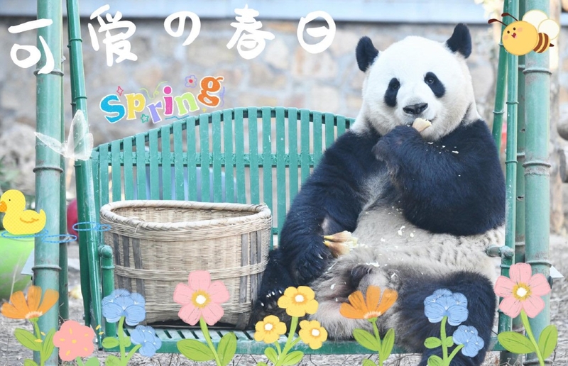 hình nền máy tính cute hình 52