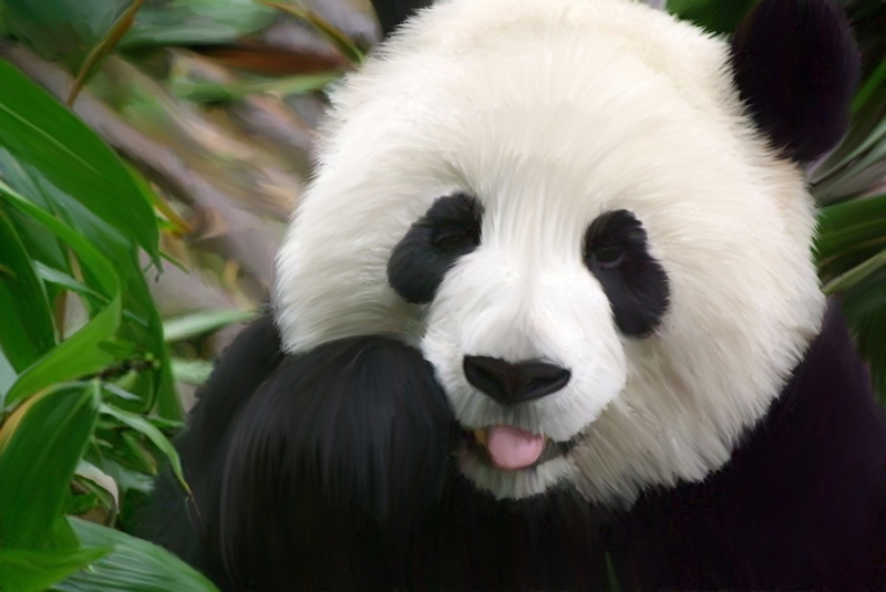 hình nền máy tính cute hình 58