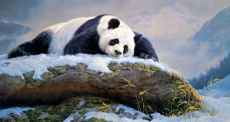 hình nền máy tính cute hình 60