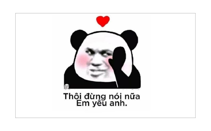 hình nền meme hài hình 15