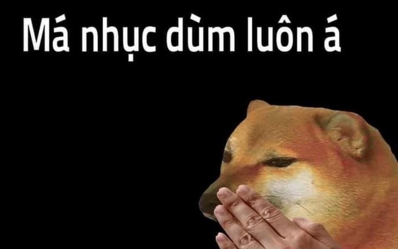 hình nền meme hài hình 6