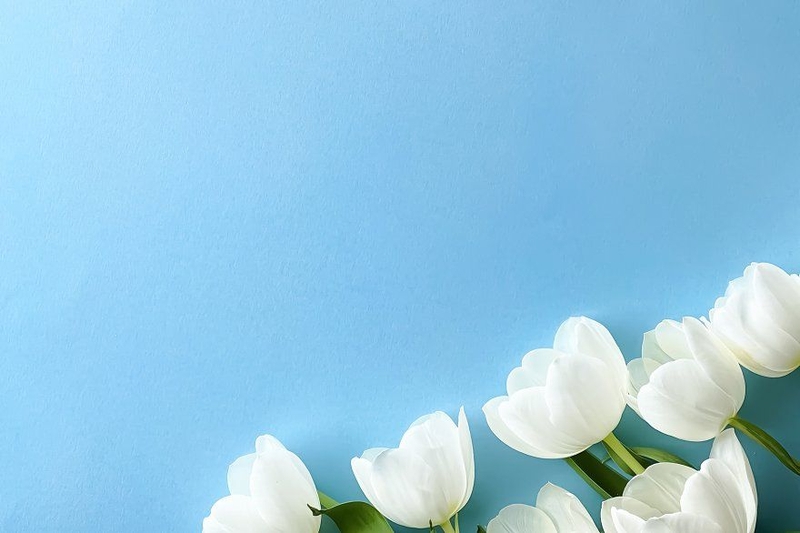 hình nền PowerPoint màu xanh dương nhạt hình 14