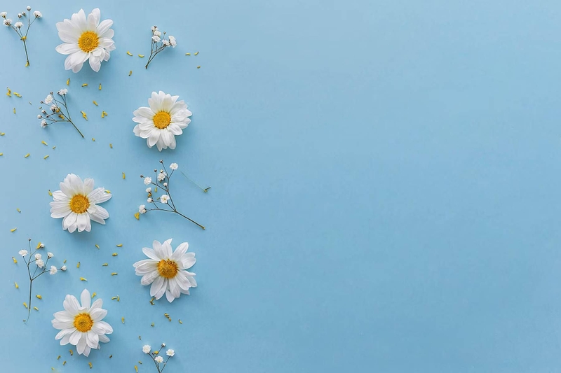 hình nền PowerPoint màu xanh dương nhạt hình 15