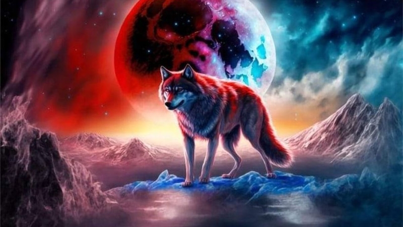Hình nền sói ảnh 39