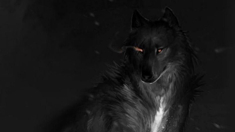 Hình nền sói ảnh 43