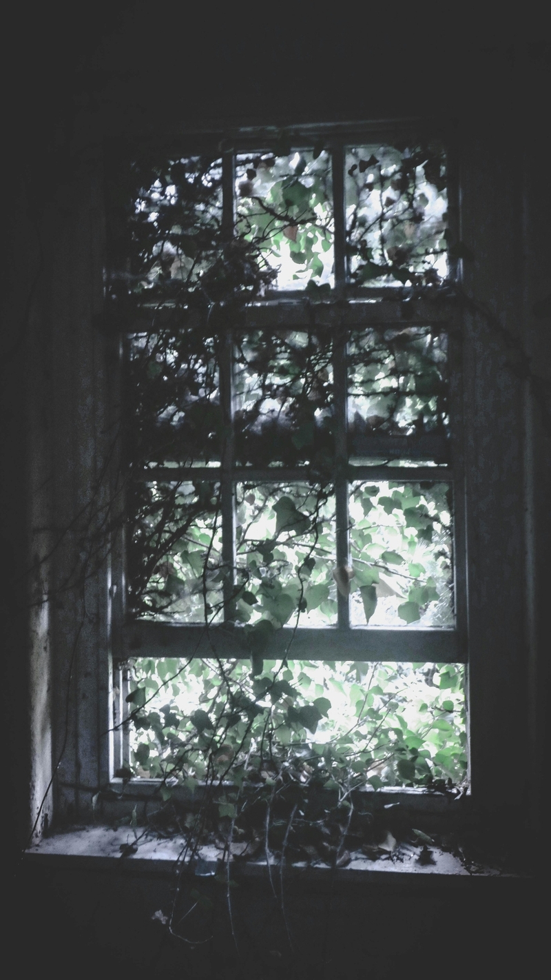 Hình nền tâm trạng dành cho điện thoại 9