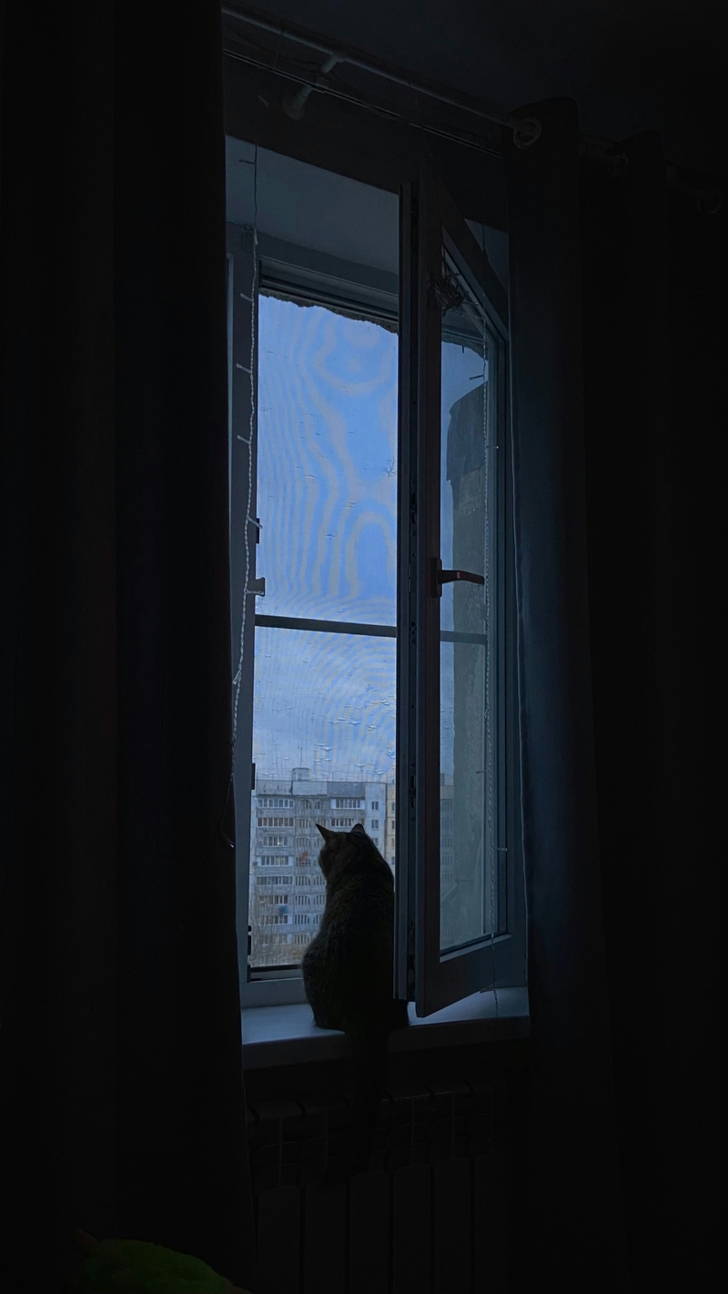 Hình nền tâm trạng dành cho điện thoại 12