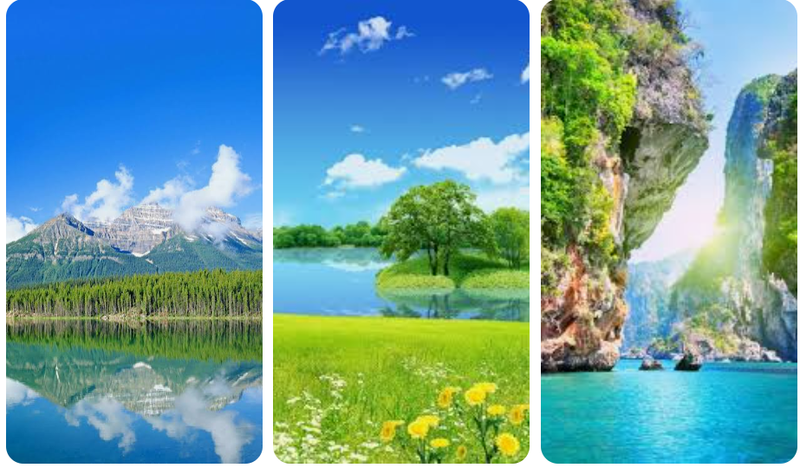 vi sao nhieu nguoi yeu thich thien nhien