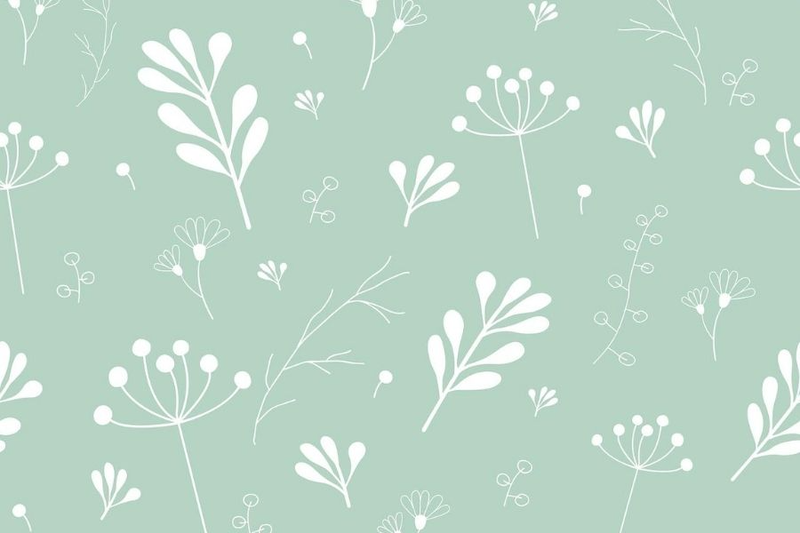 Hình nền xanh lá nhạt cute 4