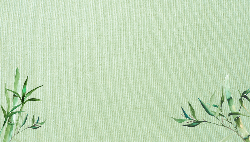 Hình nền PowerPoint màu xanh lá nhạt 2
