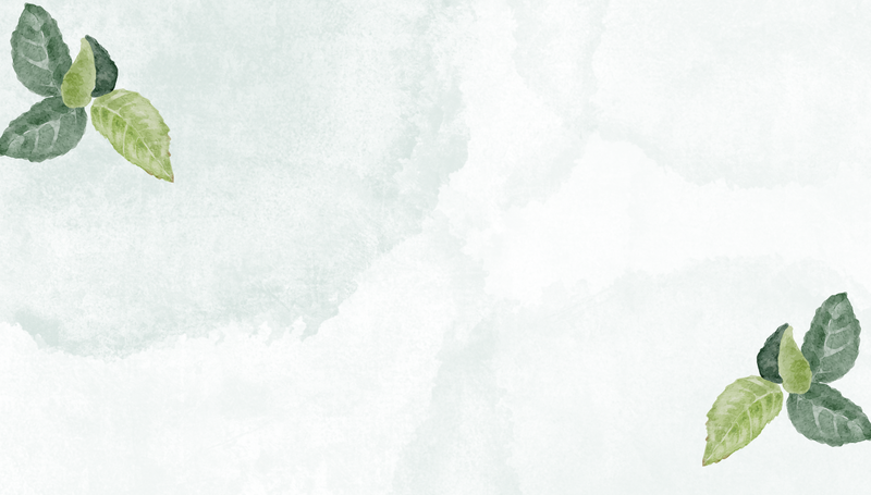 Hình nền PowerPoint màu xanh lá nhạt 4