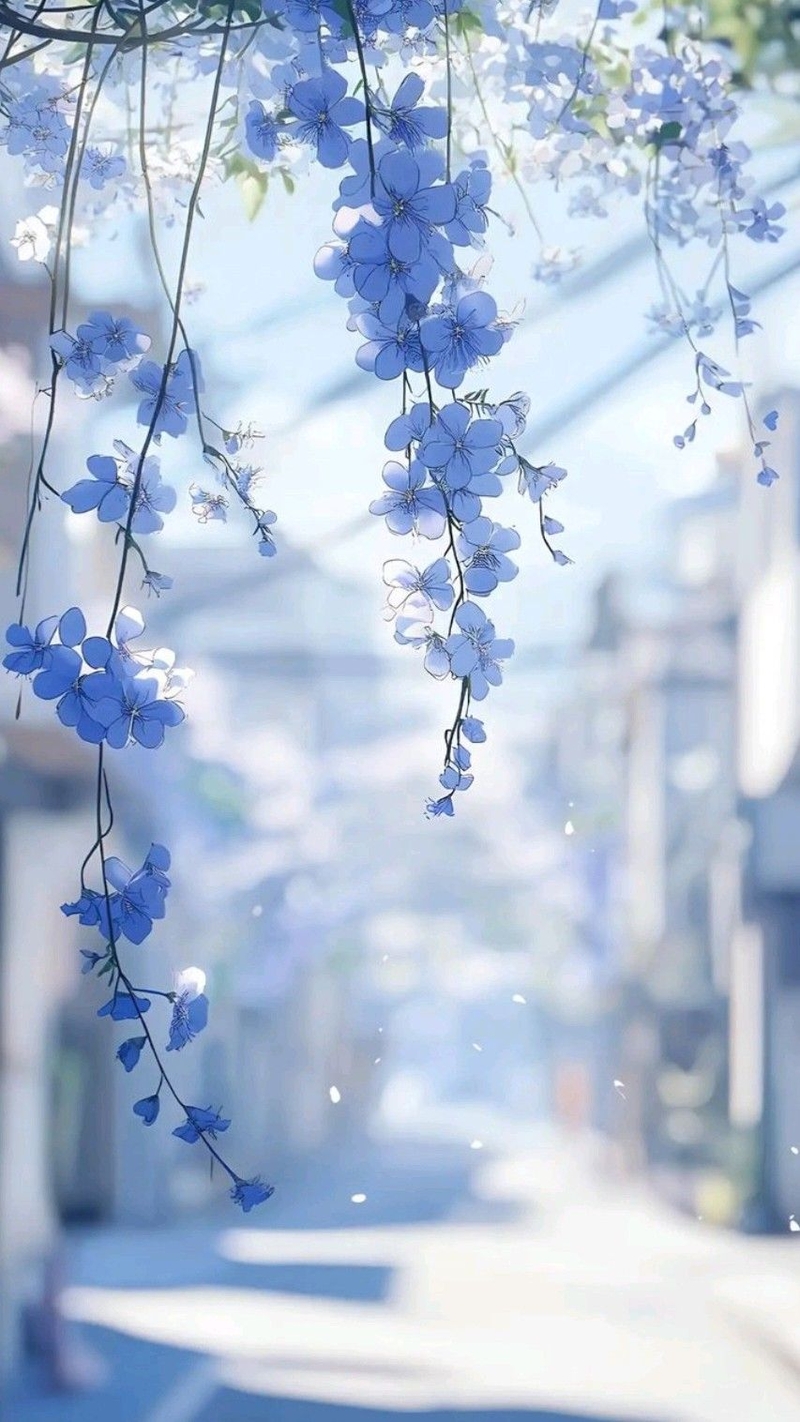 hình nền Xiaomi hình 10