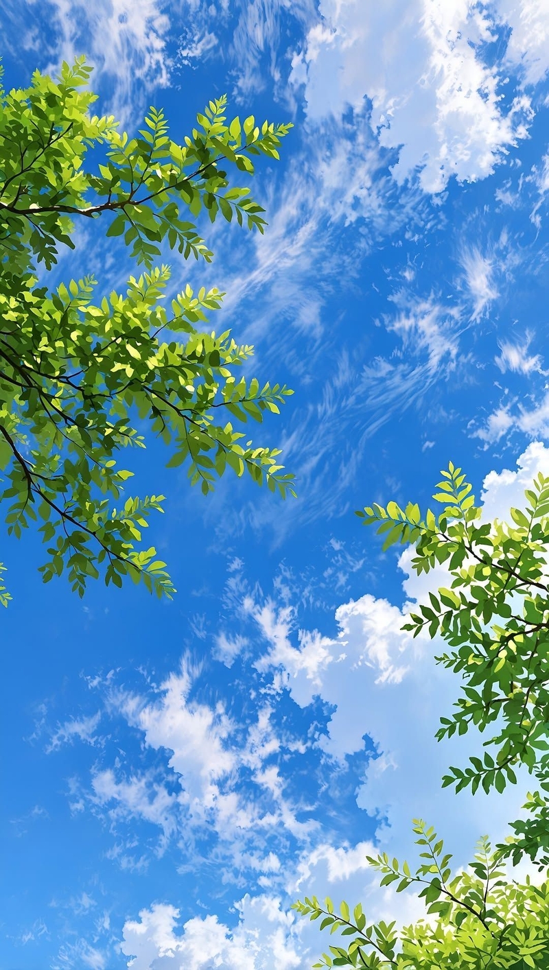 hình nền Xiaomi hình 9