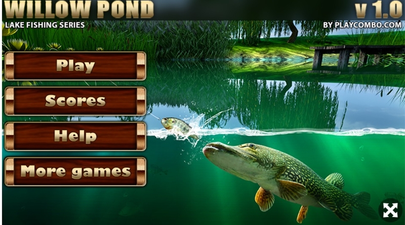 Hồ câu cá - Game trải nghiệm câu cá chân thực ngay trên trình duyệt