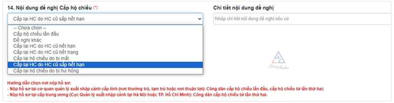 cap doi ho chieu online