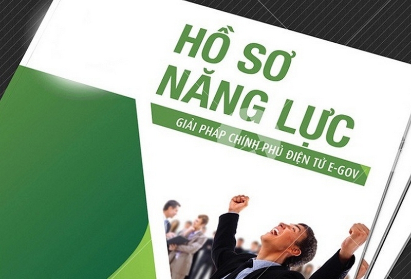 hồ sơ năng lực là gì ảnh 2