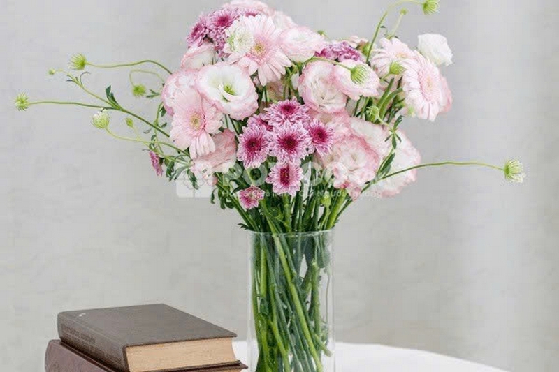 hoa cát tường ảnh 2