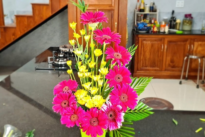 Hoa đồng tiền