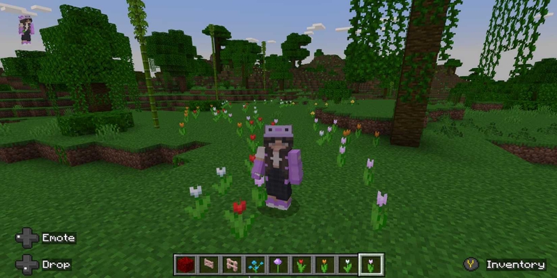 hoa Minecraft hình 7