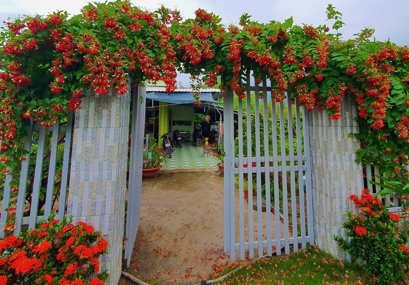 Hoa sử quân tử ảnh 3