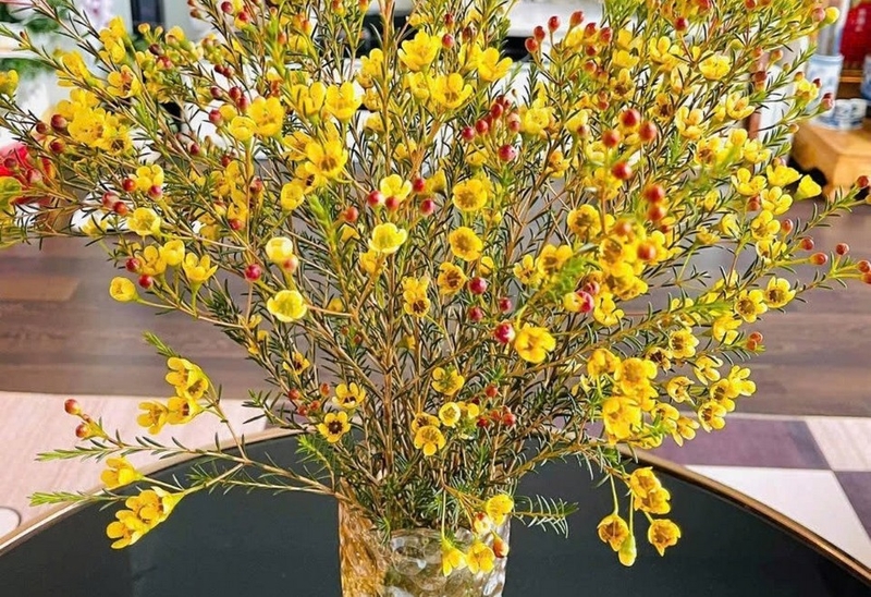 Hoa thanh liễu hình ảnh 3