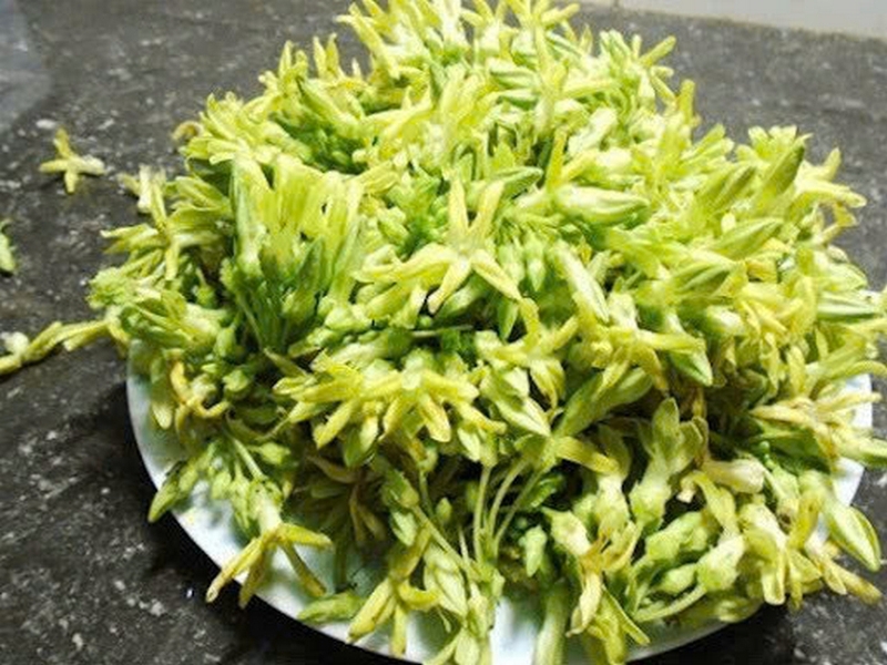 hoa thiên lý ảnh 3