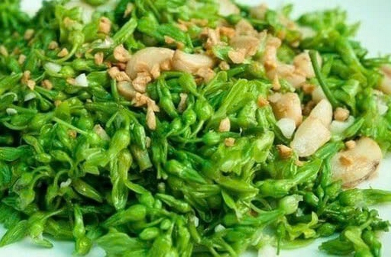 hoa thiên lý ảnh 5