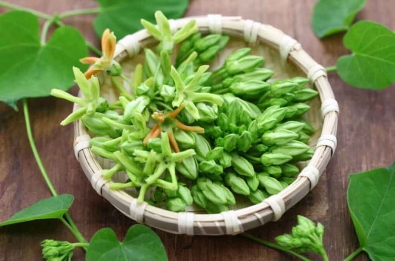 Một số đặc điểm nổi bật của hoa thiên lý