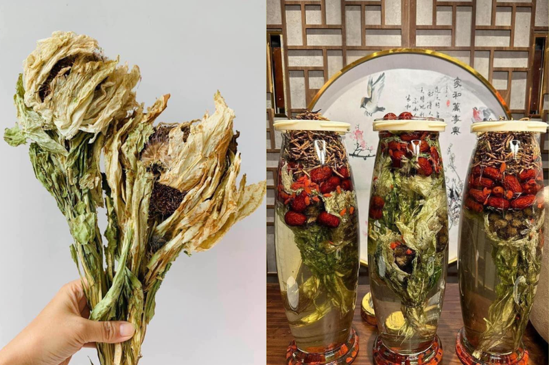 hoa tuyết liên (5)