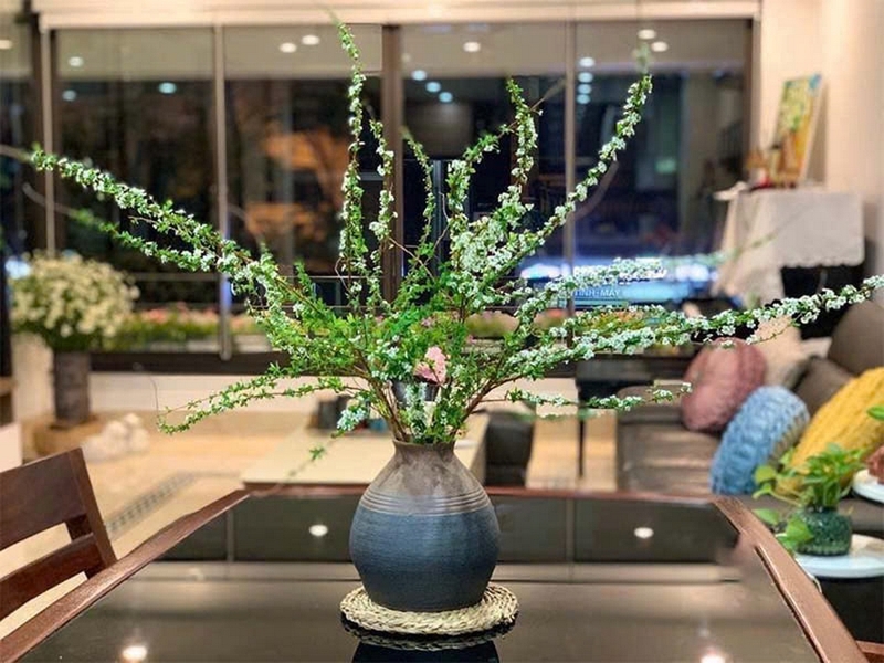 Hoa tuyết mai ảnh 5