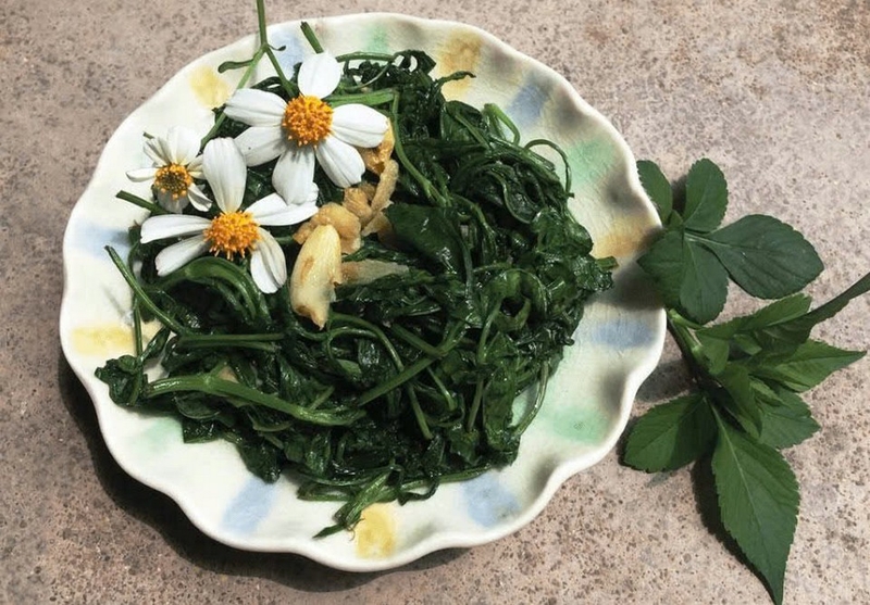 Hoa xuyến chi ảnh 6