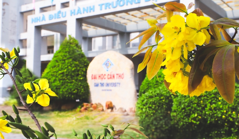 học phí Đại học Cần Thơ 2025 hình 8