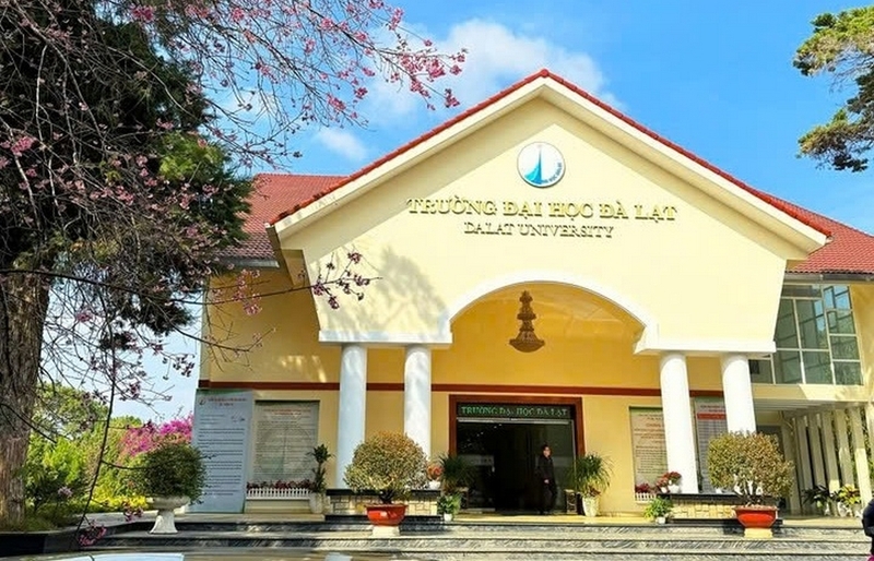 hoc-phi-dai-hoc-da-lat-2025-1.jpg