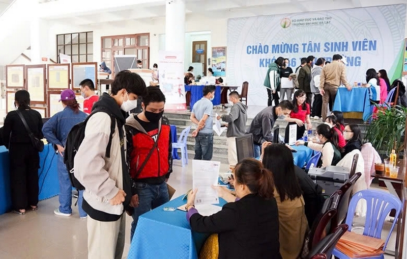 học phí Đại học Đà Lạt 2025 ảnh 6