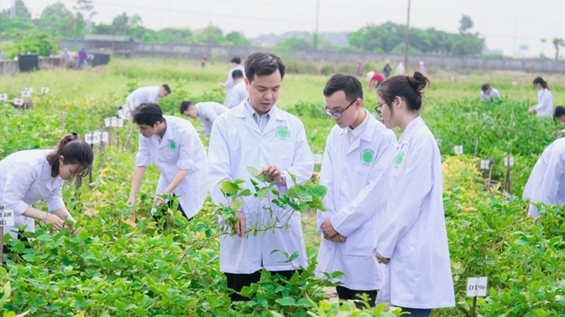 Sinh viên có thể cần trả thêm chi phí cho hoạt động ngoại khoá