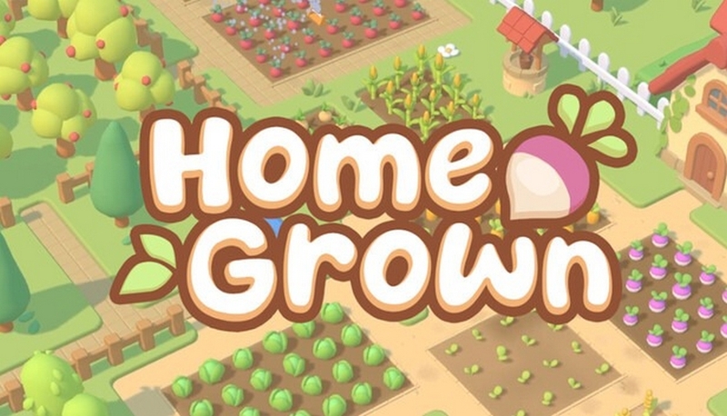 homegrown ảnh 1