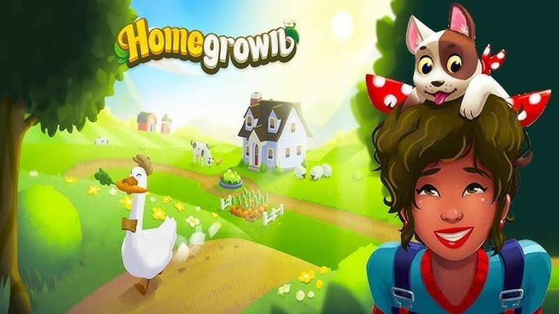 homegrown ảnh 4