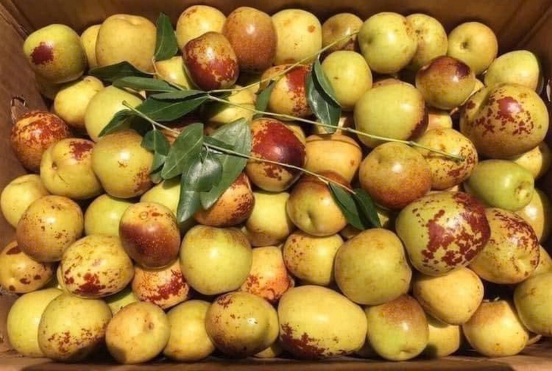 Hồng táo ảnh 1