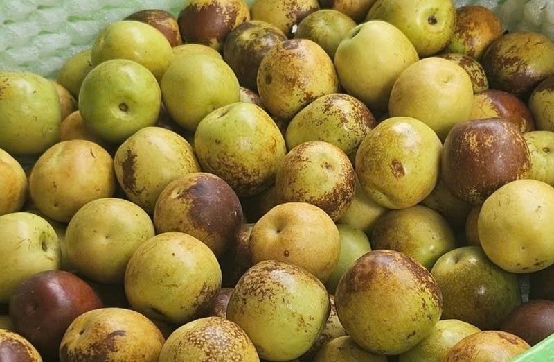 Hồng táo ảnh 7