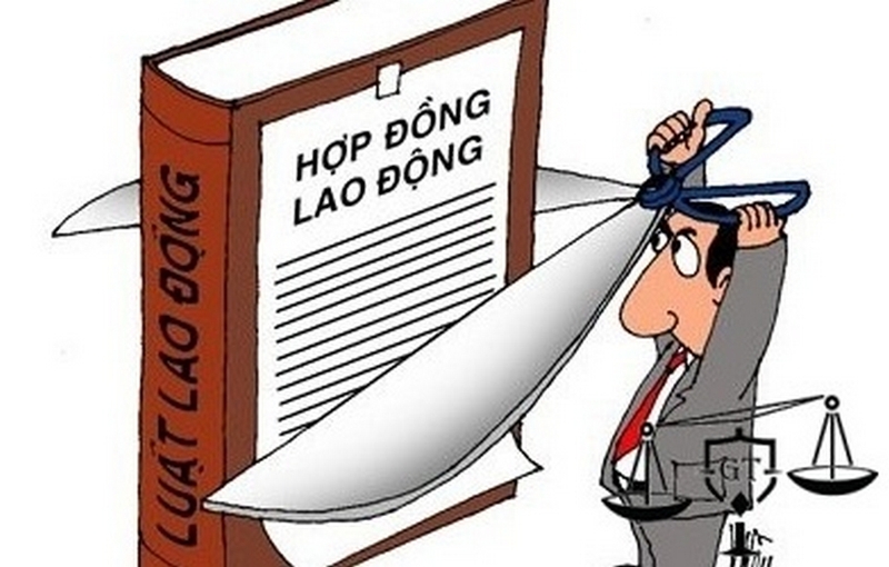 Hợp đồng dài hạn là gì ảnh 2