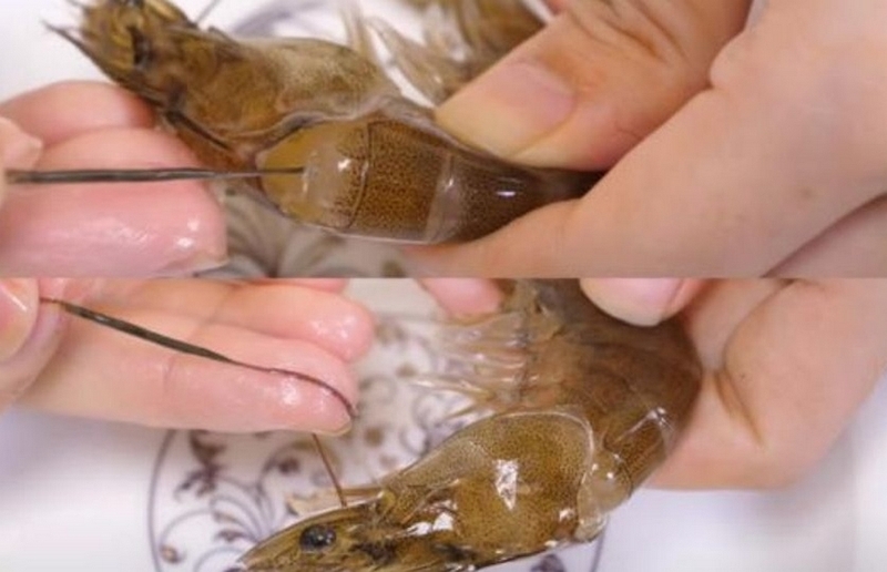 hủ tiếu hải sản ảnh 3