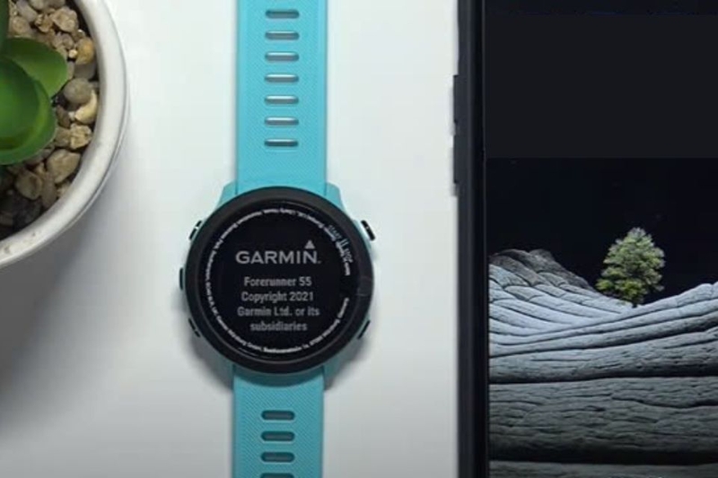 Nhấn và giữ nút Light cho đến khi thấy logo Garmin hiển thị
