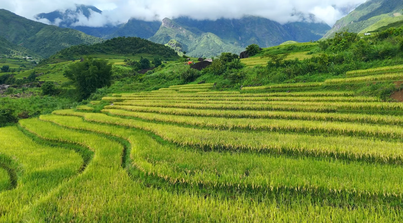 Xã, phường mới của Lai Châu 4